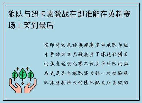 狼队与纽卡素激战在即谁能在英超赛场上笑到最后