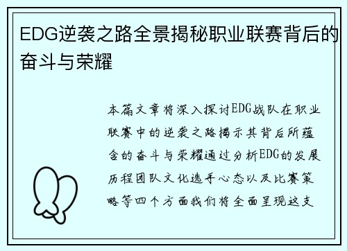 EDG逆袭之路全景揭秘职业联赛背后的奋斗与荣耀