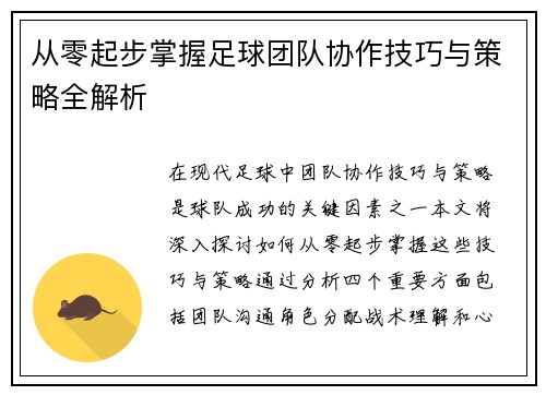 从零起步掌握足球团队协作技巧与策略全解析