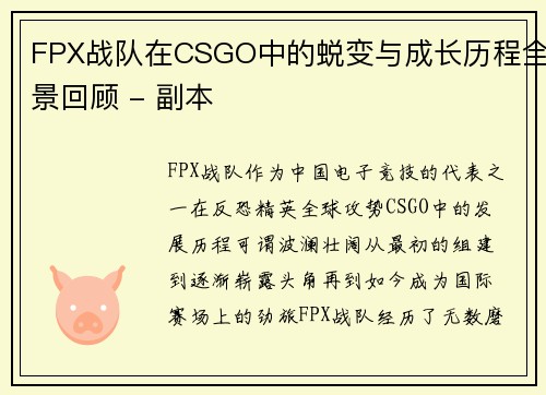 FPX战队在CSGO中的蜕变与成长历程全景回顾 - 副本