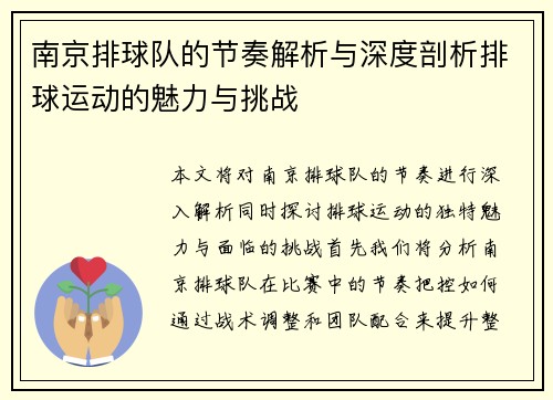 南京排球队的节奏解析与深度剖析排球运动的魅力与挑战
